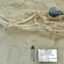 En Argentina confiscan una momia y tres calaveras de Cultura Paracas en un envío postal desde Bolivia