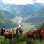 Cerrarán Camino Inca en Febrero por Labores Habituales de Mantenimiento