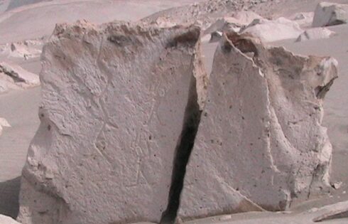 toromuerto10