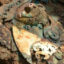 Los moche habrían extraído cinabrio de mina preincaica hallada cerca de cerro Campana, Trujillo, Perú