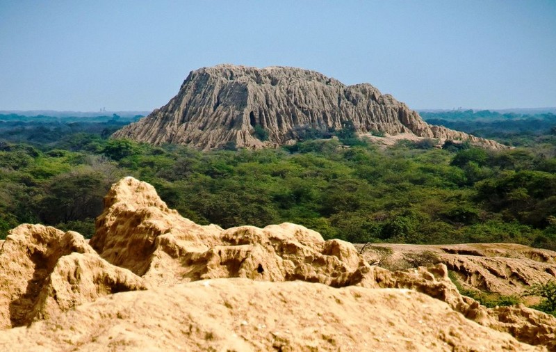 bosque pomac