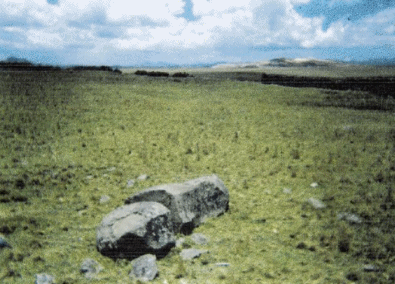 Hallazgo de un monolito de piedra en el sitio arqueológico de Huangor – Rancas (Vera 2004)
