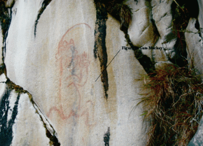 Vista de detalle de la pintura rupestre de Gato Machay – Quiparacra/Huachon (Vera 2005)
