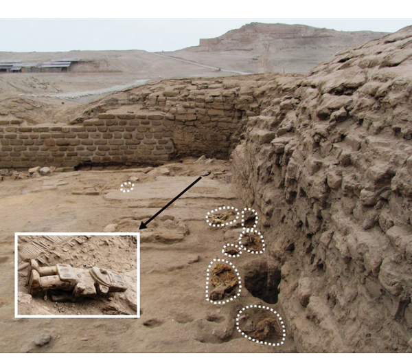 canes pachacamac fig4