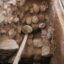 Hallan once tumbas preincas en la Videna en San Luis