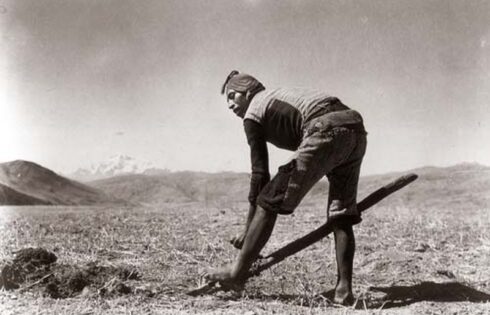 Martin Chambi Campesino con Arado de Pie