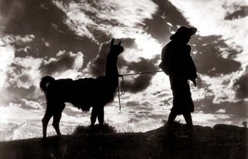 Martin Chambi La Llama y el Llamero