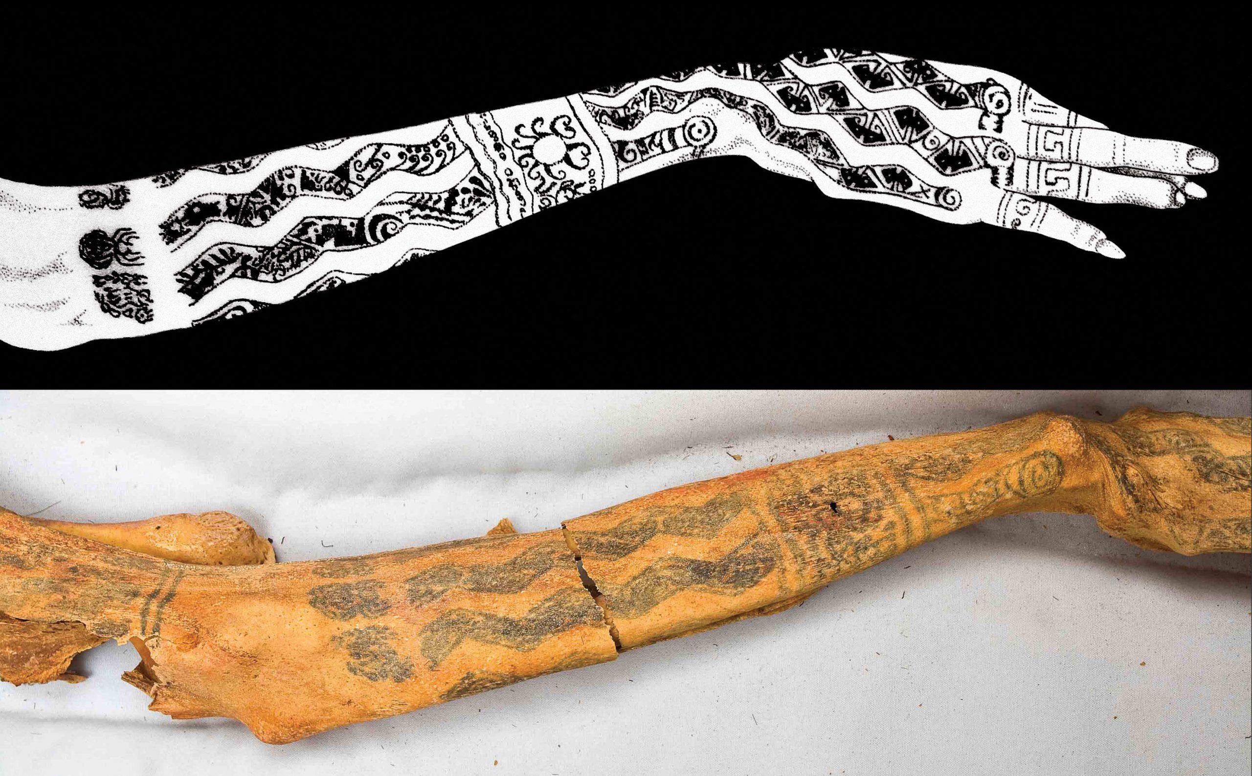 tatuajes brazo senora de cao scaled