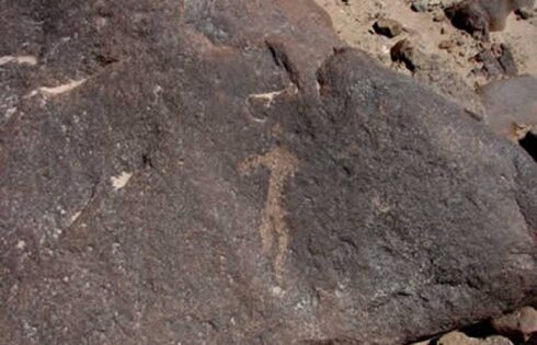 petroglifos de san francisco de miculla 50