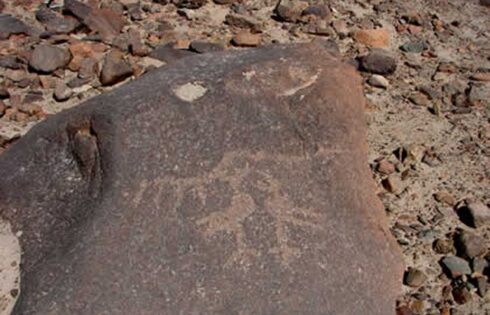petroglifos de san francisco de miculla 77