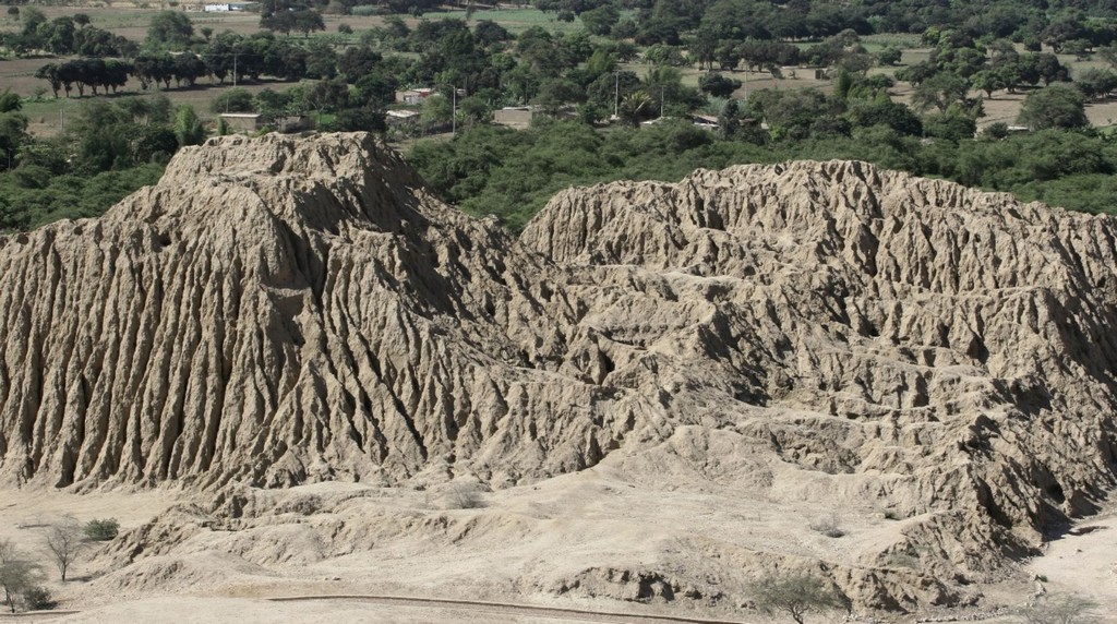 bosques lambayeque