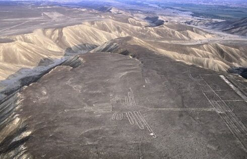 lineas nasca