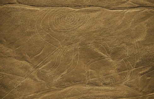 lineas de nasca mono