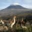 Hallan figuras de arcilla de sacerdotiza y gobernantes de civilización Caral