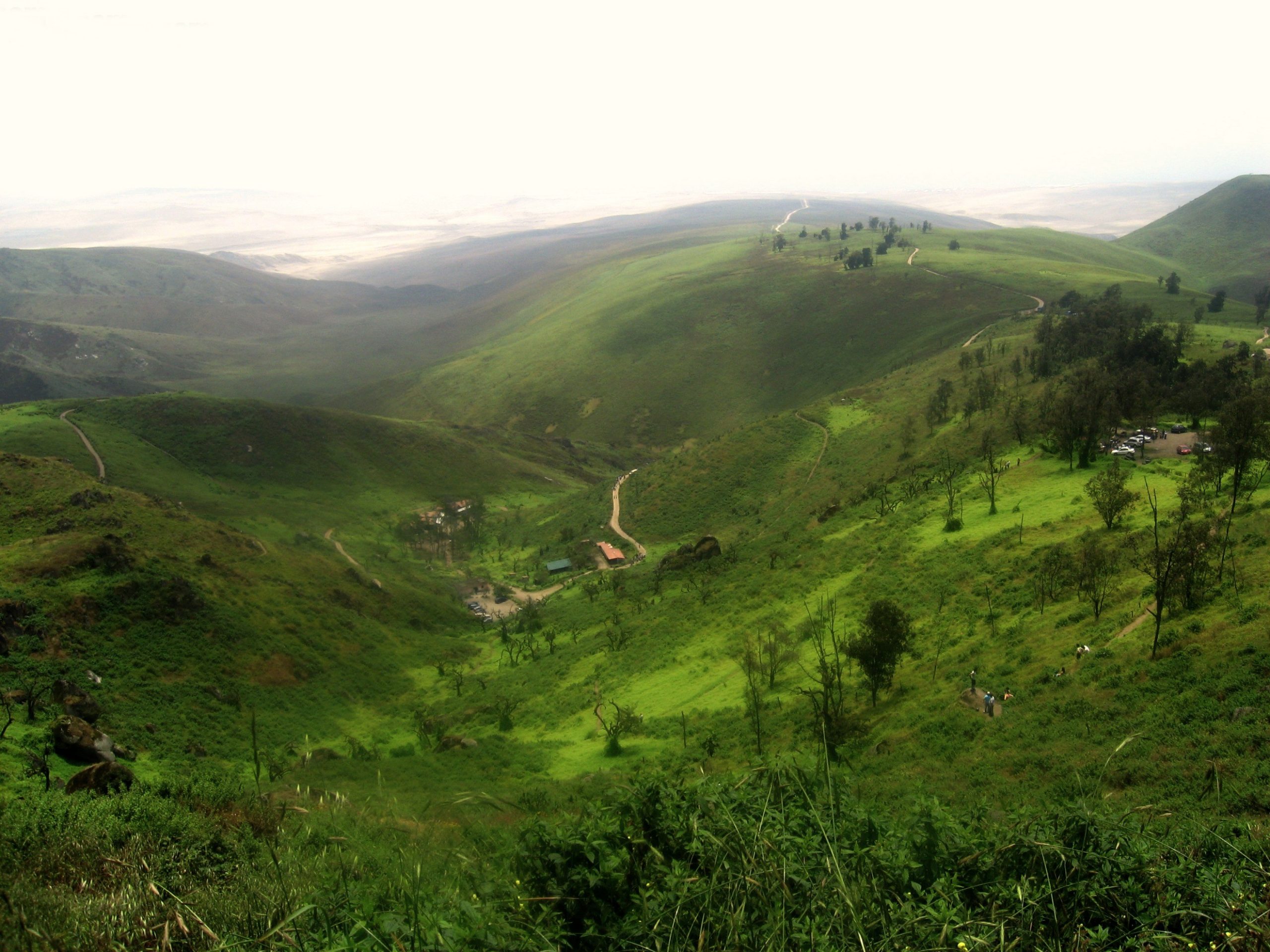 lomas de lachay scaled