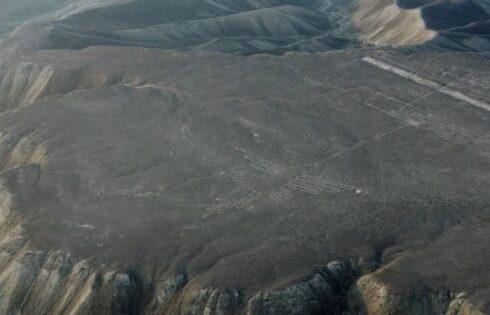 lineas de nasca apoyo usa