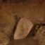 Inauguran exposición itinerante: Valle alto del Utcubamba, Kuélap 1500 años de ocupación Chachapoya