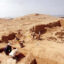 Líneas de Nasca: Un sujeto escribió su nombre en la figura del Pelícano