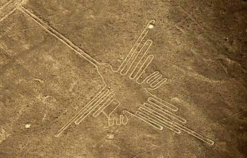 lineas de nasca colibri