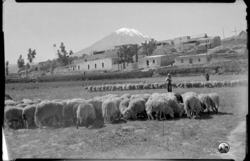 Arequipa Martin Chambi 6