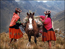 Incas