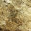 Aclaran que descubrimiento de Pintura Rupestre en Machu Picchu no es reciente