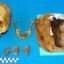 Las culturas pre-incas o pre-incaicas