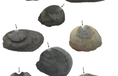 huaca prieta hallazgo 15000 anos mayo 2017 1