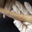 Hallan 47 entierros de más de 2,500 años en Huanchaco, Trujillo, La Libertad