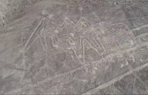caral palpa descubre marzo 2018 04