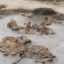 Hallan ofrendas de élite de significado ritual y ceremonial en Áspero, Caral