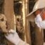 Hallazgo de importante personaje de 3,000 años en Cusco
