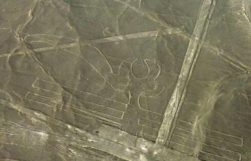 lineas de nazca nasca 13