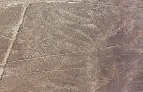 lineas de nazca nasca 17