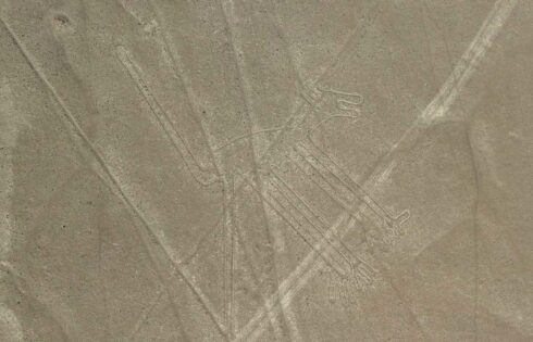 lineas de nazca nasca 19