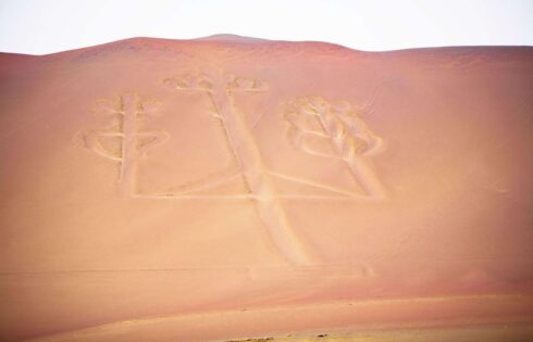 lineas de nazca nasca 3