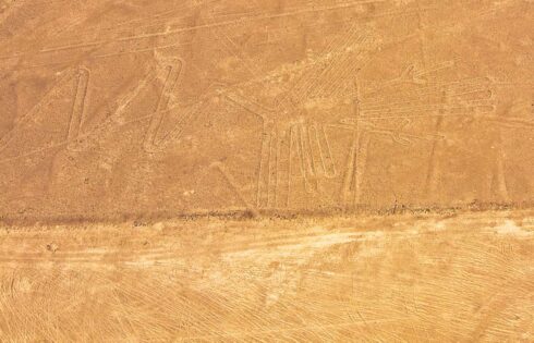 lineas de nazca nasca 4