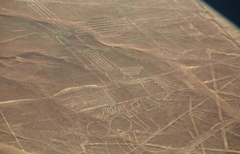 lineas de nazca nasca aves