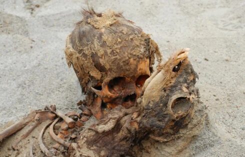 hallazgo huanchaco sacrificio ninos enero 2019 22