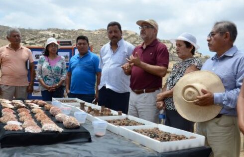 tumba inca lambayeque feb 2019 2