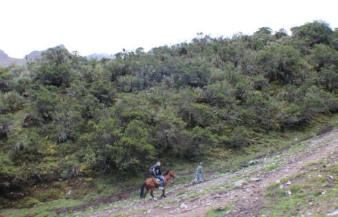laguna humantay 0057