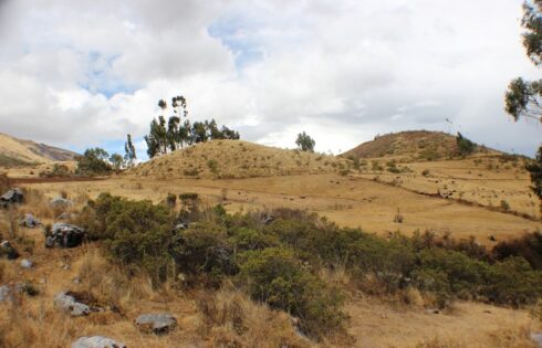 Quillarumiyoc Anta Cusco 42