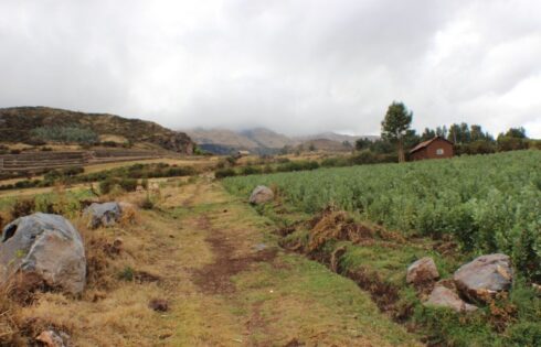 Quillarumiyoc Anta Cusco 96