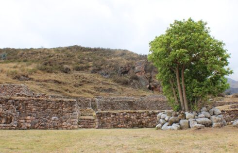 Quillarumiyoc0314