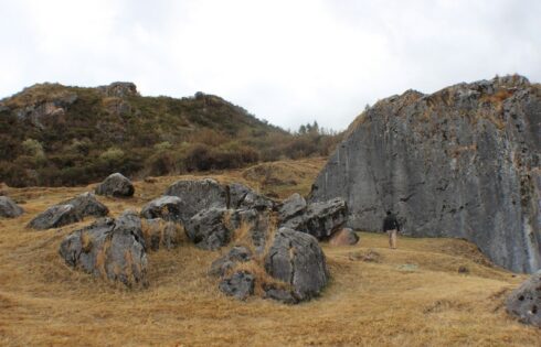 Quillarumiyoc0342