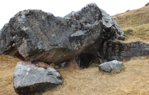Quillarumiyoc0345