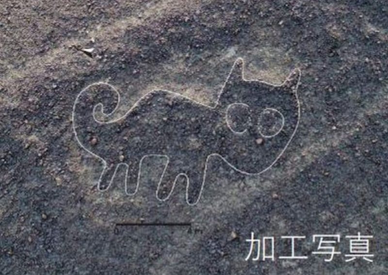 lineas de nasca