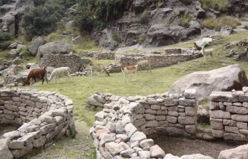 Taqrachullo 09