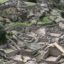 Ministerio de Cultura refuerza la protección de Taqrachullo ante masiva llegada de visitantes